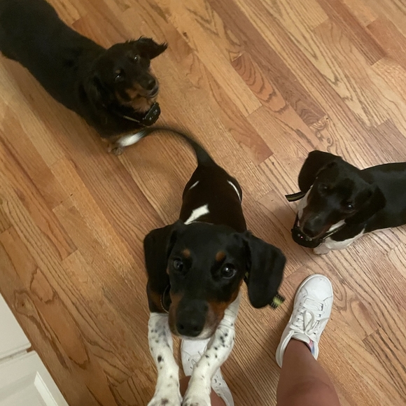 Meet your Posher, Kayla - Picture 10 of 13